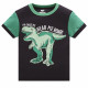 Пижама для мальчика, черная. Динозавр Рекс.