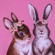 Пижама для девочки, розовая. Милые кролики.