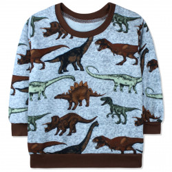 Кофта для мальчика, джемпер, серый. Огромные динозавры.